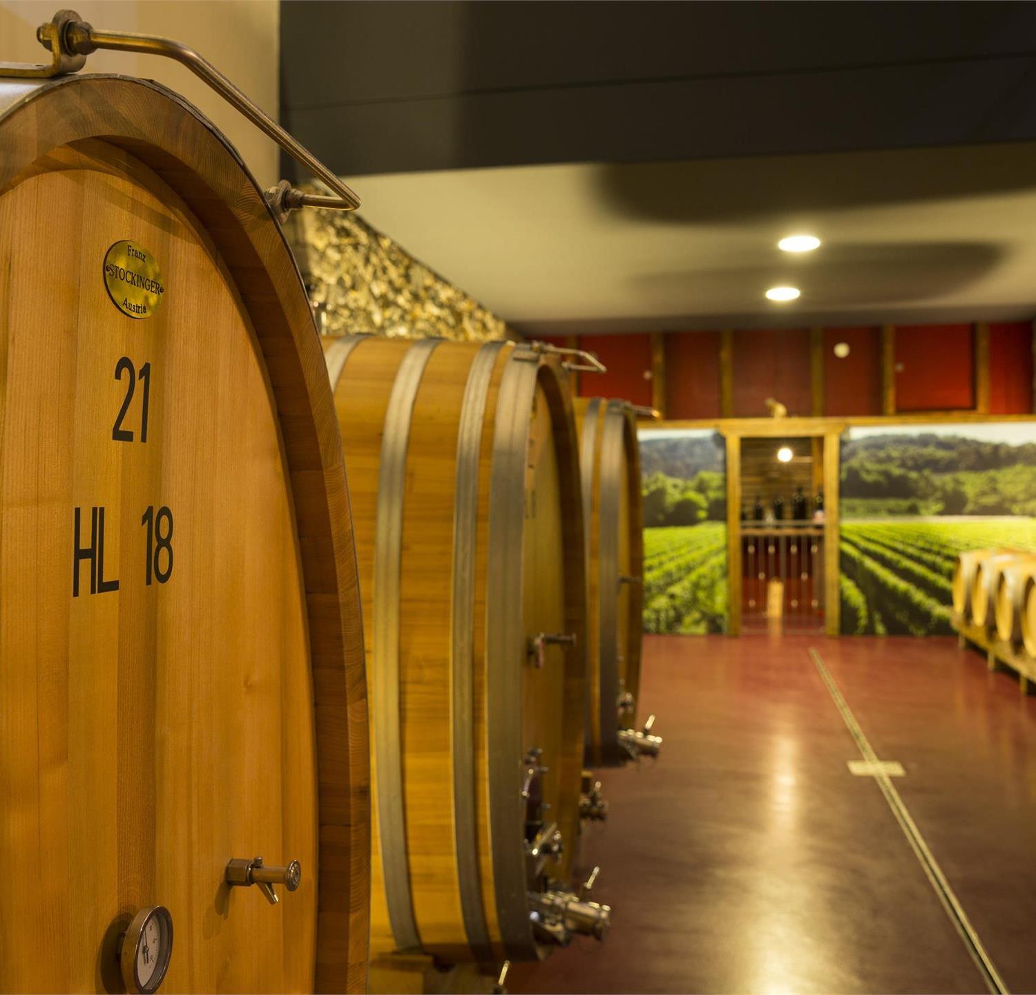 Foto per Fascinazione vino: Visita guidata presso la tenuta vinicola Plonerhof